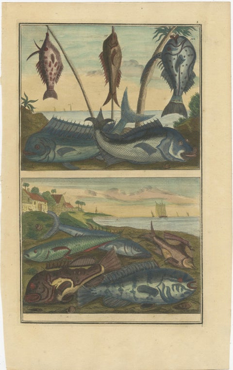 Set of 12 Colored Antique Prints of Various Fishes and Crustaceans, view 8