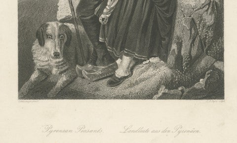 Pyrenean Peasant Couple with Dog, Romantic 19th C. Engraving c.1840, close-up 4