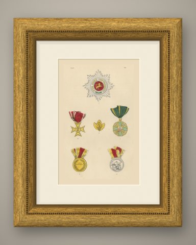 Orders of Baden, Zähringer Lion and Medals, Plate VIII, Wood Engraving, 1844, shown framed