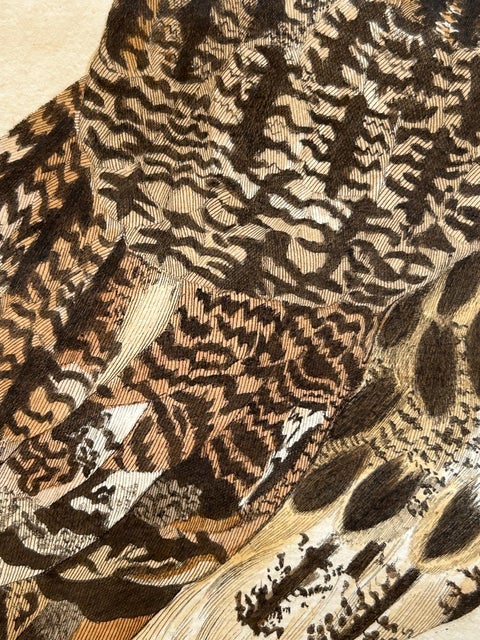 Strix Otus, Antique Long-Eared Owl Print by Nozeman & Sepp, 1809, view 6