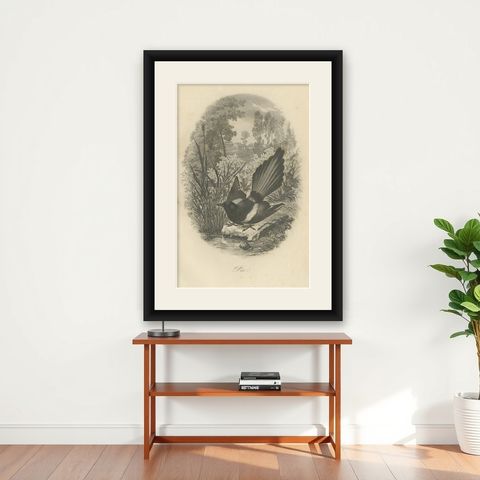 Antique Bird Print of a Magpie, 1853, shown framed on a wall