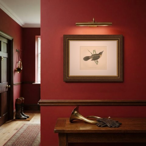 Great Sedge Warbler or Great Reed Warbler Clinging to a Reed, Morris, 1896, shown framed on a wall