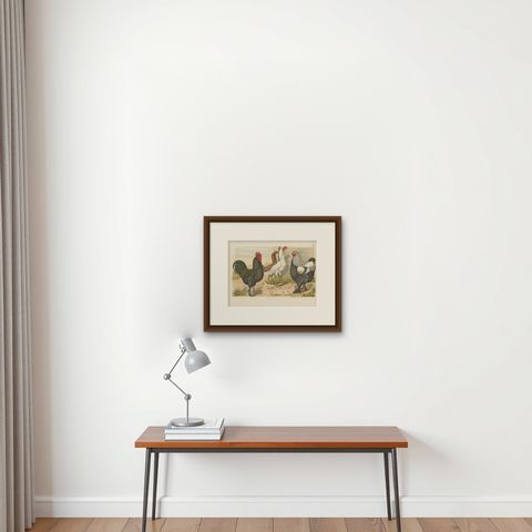 Antique Bird Print of various Roosters and Chickens (1886), shown framed on a wall
