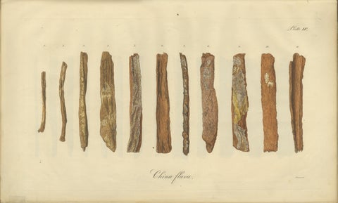 Cinchona Bark Varieties: A Rare Hand-Colored Illustrated Botanical Atlas (1826), view 5