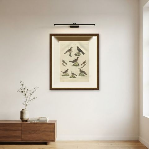 Crested Lark and Other Larks, Antique Bertuch Print, Vienna, circa 1805, shown framed on a wall