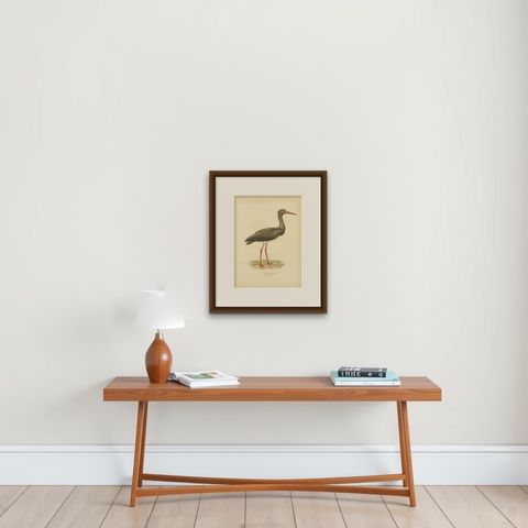 Black Stork Ciconia Nigra - Antique Scandinavian Bird Lithograph, 1929, shown framed on a wall