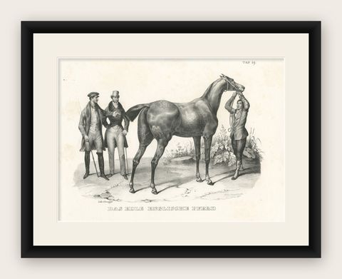 Original Antique Print of an English Horse, shown framed