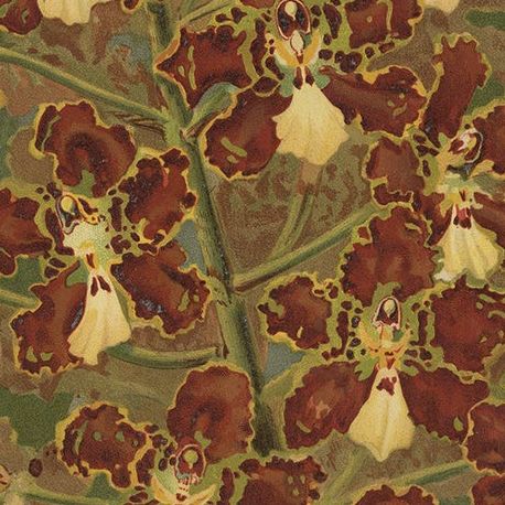 Red and Gold Orchid Print, Odontoglossum Coronarium, Reichenbachia c.1888, close-up 5