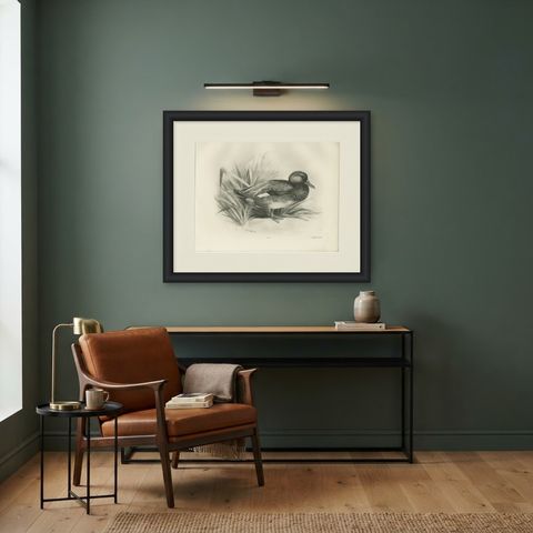 Gadwall Duck among Reeds, Plate CLXXI, Antique Bird Print by Medland, 1909, shown framed in a room