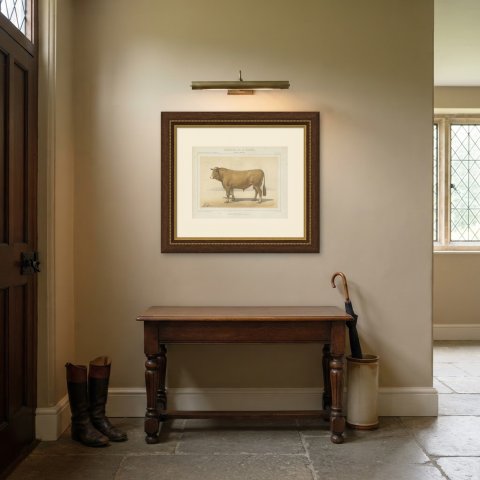 Femeline Bull, French Cattle Breed, Antique Chromolithograph by Borie, 1863, shown framed in a room