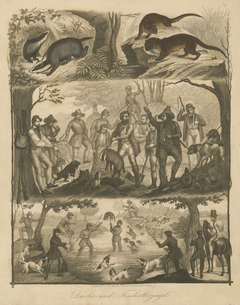 Badger and Otter Hunt, Antique German Engraving, circa 1840, close-up 1