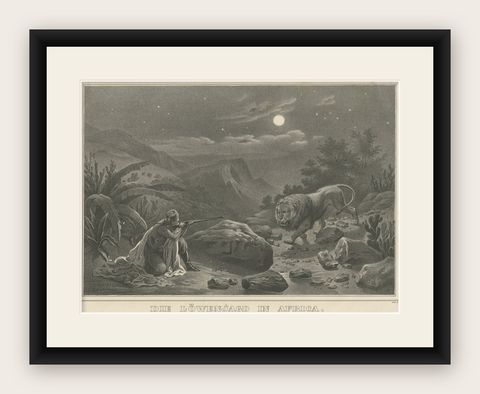 Antique Print of a Lion Hunt in Africa, shown framed