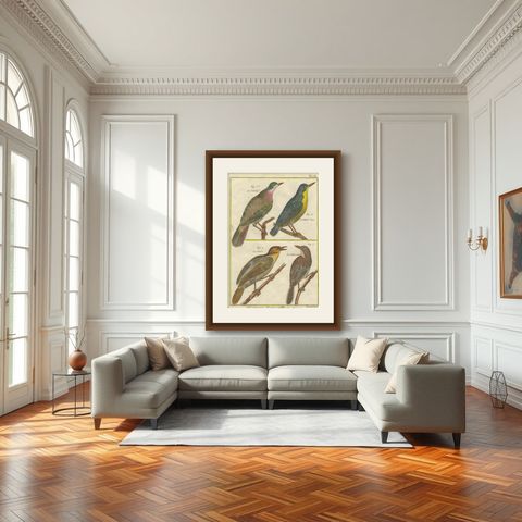 Hand-Colored Engraving of European & Exotic Birds from Histoire Naturelle, 1790, shown framed in a room