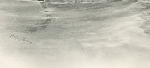 Brent Goose, Antique Bird Print after Lilian Medland, circa 1909, close-up 1