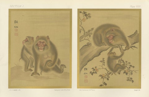 Japanese Monkey Prints: Serene 19th-Century Nature Studies with Peaches, close-up 6