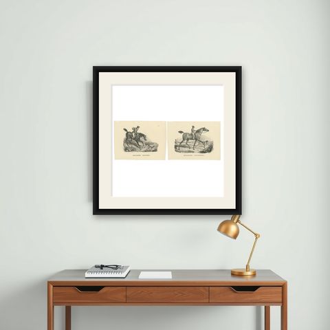 Set of 2 Antique Prints of English Horses, shown framed on a wall