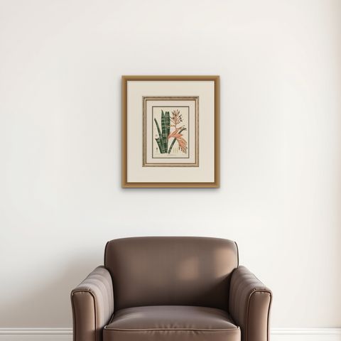 Antique Botanical Lithograph, Rohan’s Billbergia, de Vriese, 1856, shown framed on a wall