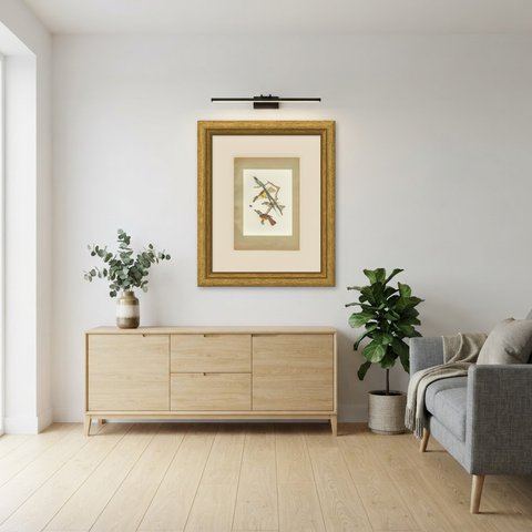 Motmots and Puffbirds, Brazilian Bird Print, Descourtilz, 1944, shown framed in a room