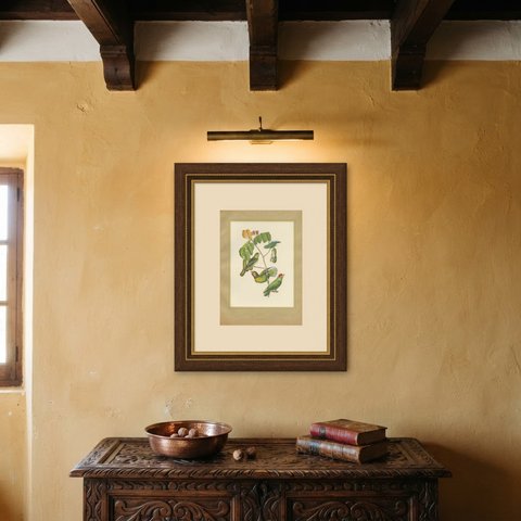 Parrotlets and Small Parrots, Brazilian Bird Print, Descourtilz, 1944, shown framed on a wall