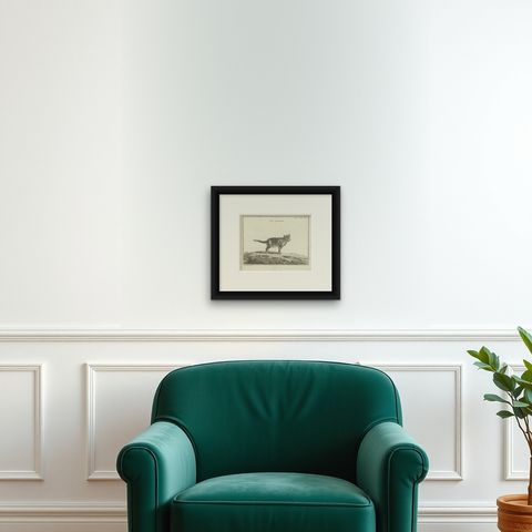 Antique Print of a Calico Cat by Fessard, 1819, shown framed on a wall