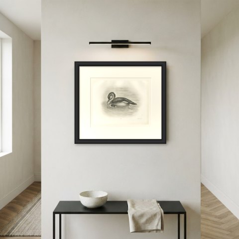 Red-breasted Merganser Duck with Downy Young after Lilian Medland, c. 1909, shown framed on a wall