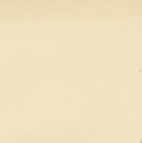 Antique Bird Print of a Male Long-Tailed Duck by Von Wright '1929', close-up 1