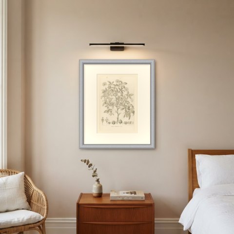 Aralia Pentaphylla Shrub with Flower and Fruit Details Lithograph, 1858, shown framed on a wall