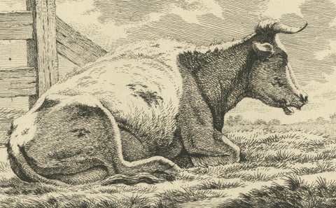 Etching of Resting Cow by Fence: Rural Scene by Anthony Oberman, 1810, close-up 3