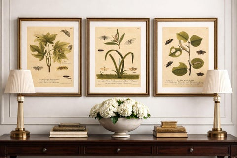 Antique Entomology Print, English Insects on Oak, Willow & Elm, Albin 1720, view 2