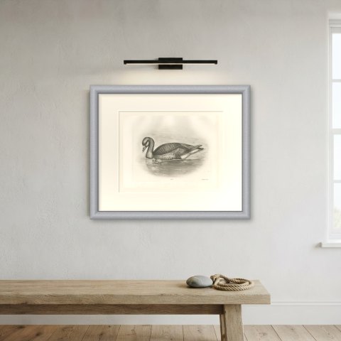 Gray Lag Goose Swimming with a Gosling, Plate CLIX after Lilian Medland, c. 1909, shown framed on a wall