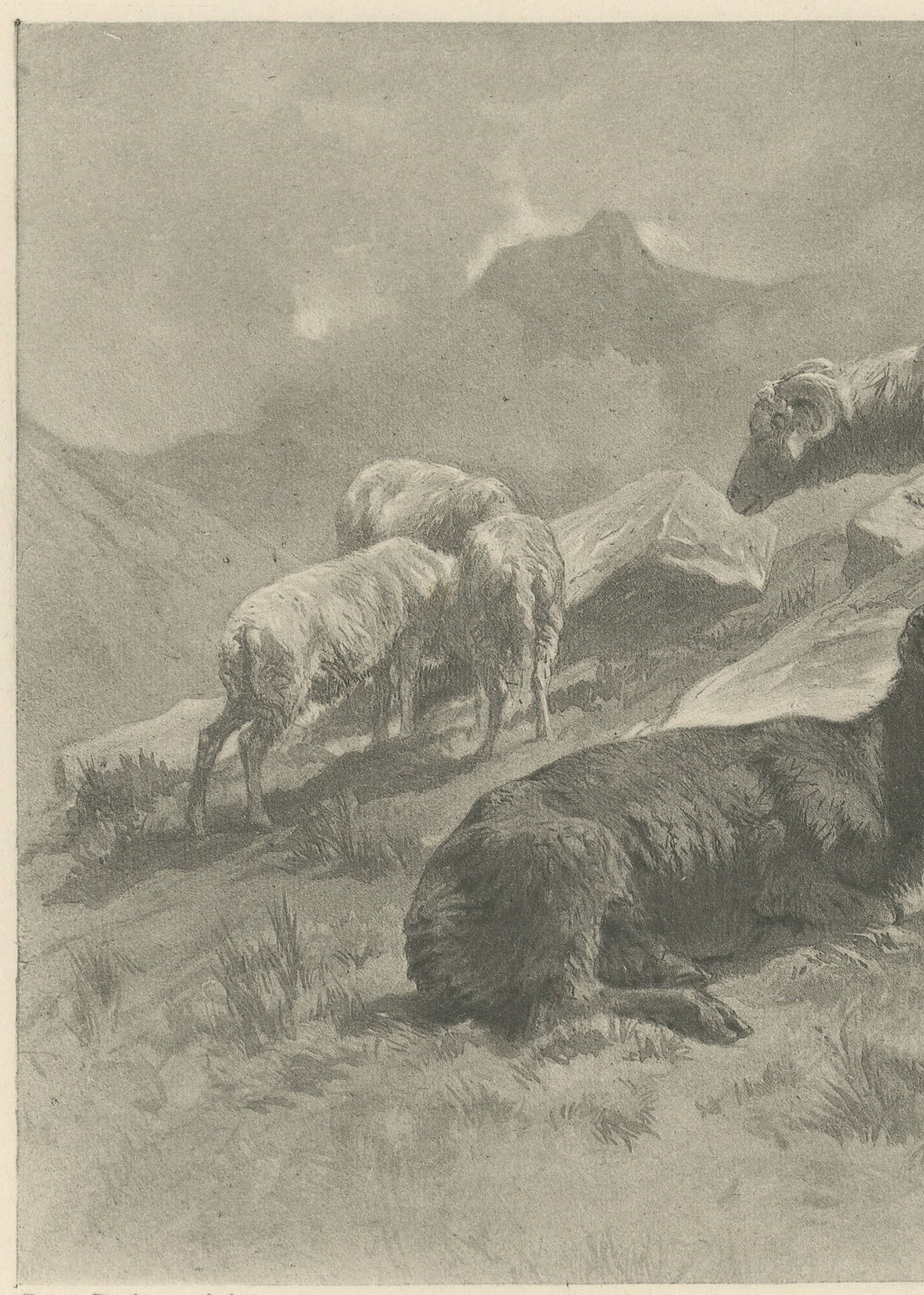 Sheep in a Mountain Landscape after Rosa Bonheur, Photogravure, circa 1880, view 3
