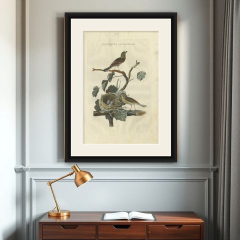 Ortolan Bunting, Antique Dutch Bird Print by Sepp & Nozeman, 1789, shown framed on a wall