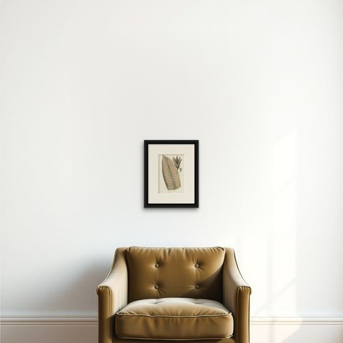 Large-Leaf Rhododendron Botanical Illustration by Louis van Houtte, 19th Century, shown framed on a wall