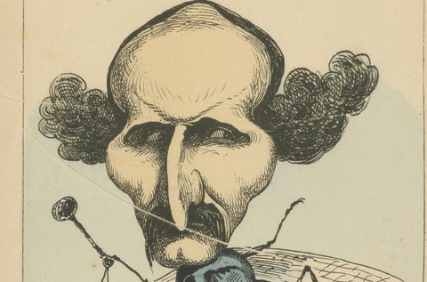Imperial Menagerie: Joseph-Marie Piétri - The Fly (Deceit - Espionage), 1870, close-up 3