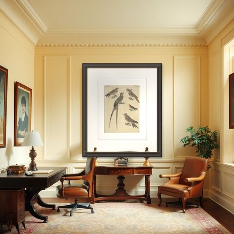 Antique Hand-Colored Bird Engraving, Swallow & Nightjars, Bertuch, c.1800, shown framed in a room