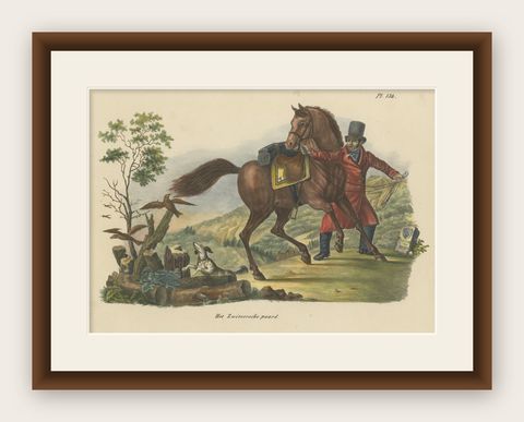 Antique Hand Colored Print of a Swiss Horse, shown framed