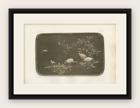 Cranes and Blossoms in a Japanese Ornamental Scene, Heliograph by Audsley 1884, shown framed