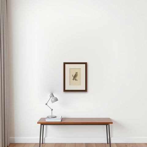 Antique Bird Print of the Long-Eared Owl by Morris, c.1850, shown framed on a wall