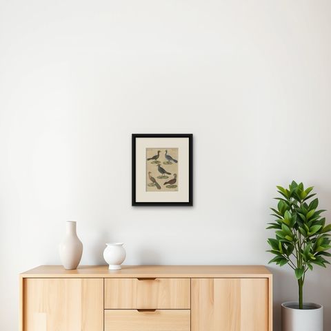 Antique Hand-Colored Crested Birds Engraving, Bertuch, c. 1800, shown framed on a wall