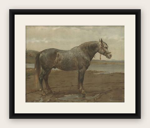 Antique Print of the Russian Horse by O. Eerelman, 1898, shown framed