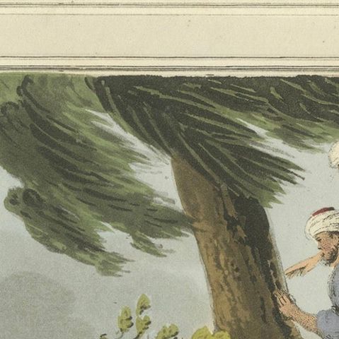 Foreign Field Sports: Egyptians, Crocodile Catching by Dubourg & Howitt, 1813, close-up 5