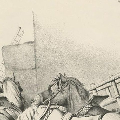 No. 20 Antique Print of Horses by Cooper, close-up 1