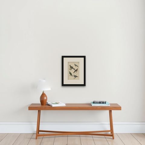 Old Hand-Colored Prints of A Wryneck, Cuckoo, Pigeons and a Stock Dove, ca.1860, shown framed on a wall