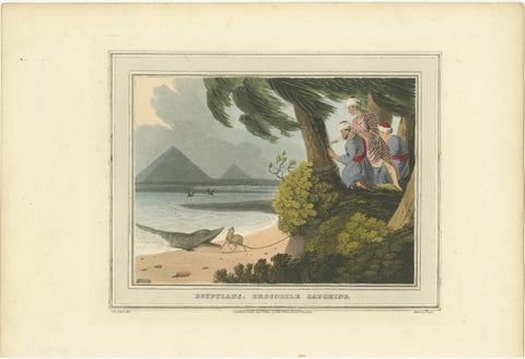 Foreign Field Sports: Egyptians, Crocodile Catching by Dubourg & Howitt, 1813, view 2