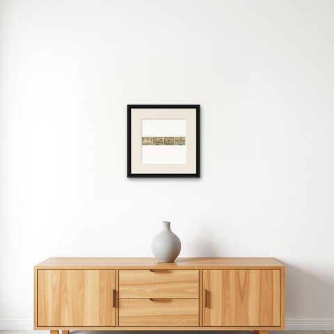 De Bry Botanical Engravings, Cinnamon, Aloe & Aromatic Plants, c.1598, shown framed on a wall