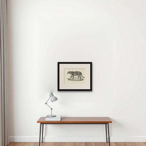19th-Century Lithograph of the Jaguar, Also Known as the American Tiger, shown framed on a wall