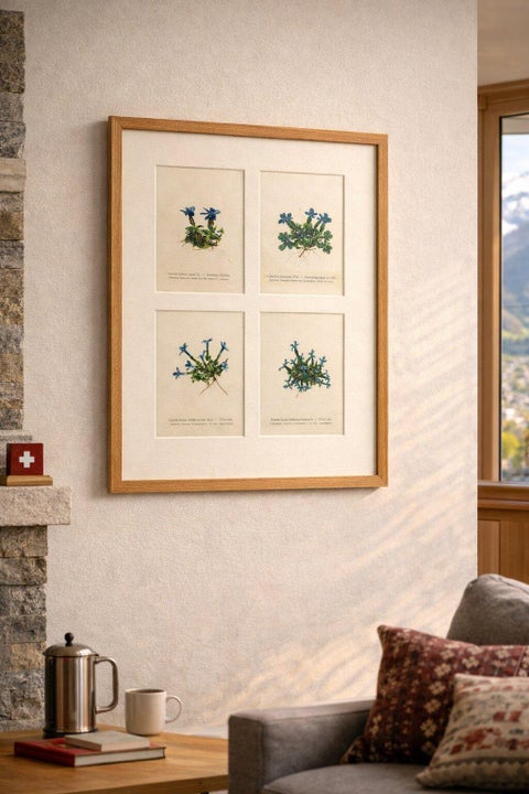 Alpine Gentian Botanical Prints Set of 4, Antique Chromolithographs 1897, view 3