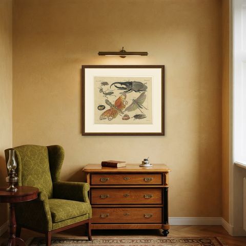 Hercules Beetle and Lantern Fly, Antique Bertuch Print, Vienna, circa 1805, shown framed in a room