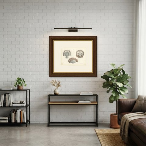 Coronal Section of the Head, Antique Hirschfeld Anatomy Print, 1866, shown framed in a room