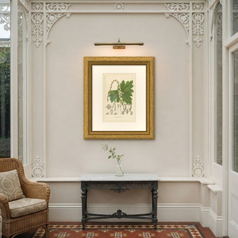 Pityrosperma Acerinum, Japanese Bugbane with Details, Plate VI, 1858, shown framed on a wall
